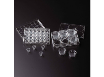PROGENE® Cell Culture Inserts With TC-Treated Plates