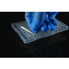 Progene® Adhesive Routine PCR Sealing Film