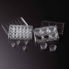 PROGENE® Cell Culture Inserts With TC-Treated Plates
